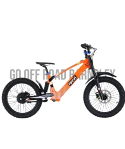 REVVI 20” ELECTRIC BIKE